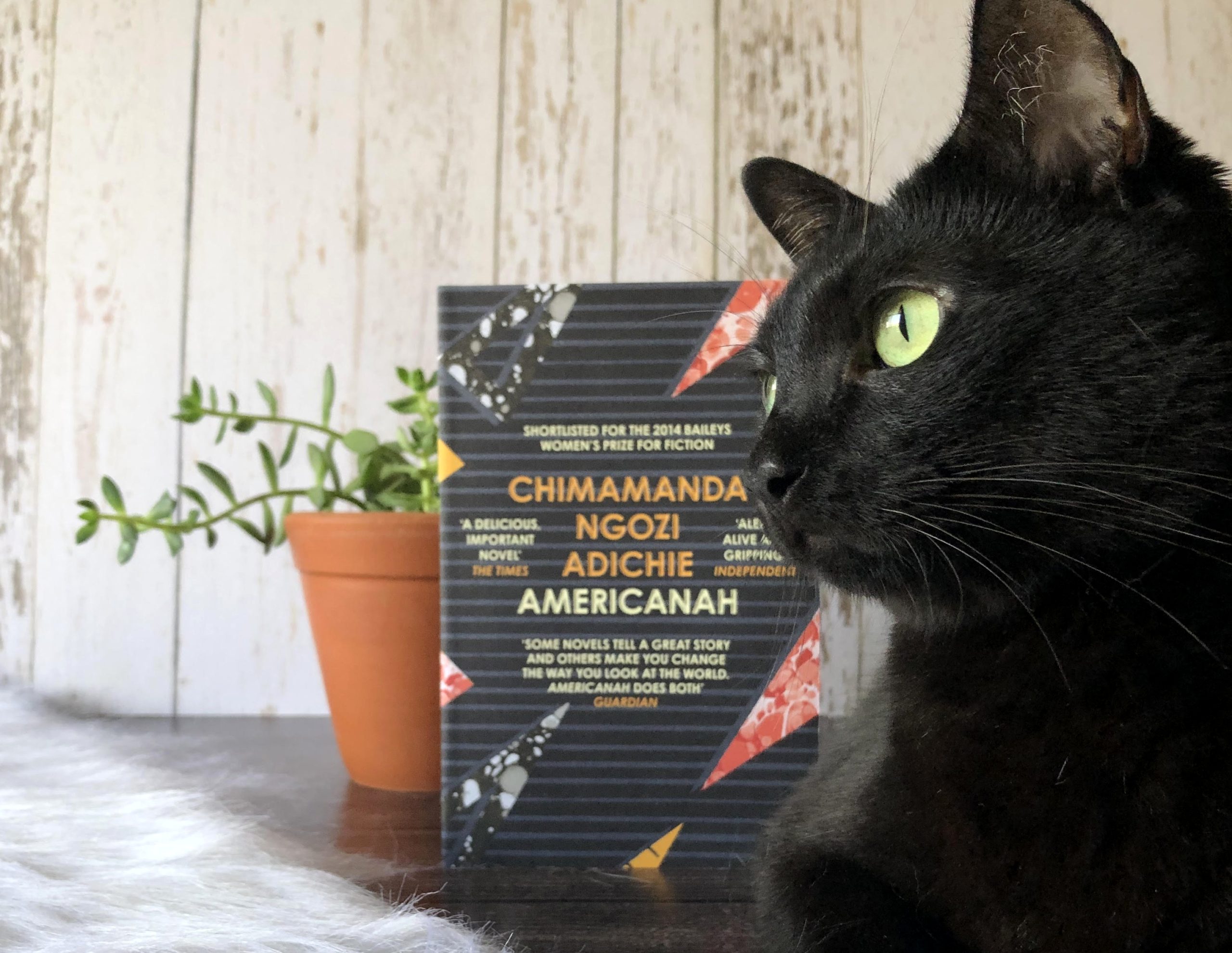 Clube do Livro - Americanah de Chimamanda