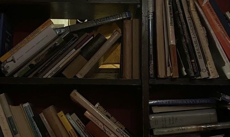 A imagem apresenta uma estante com livros